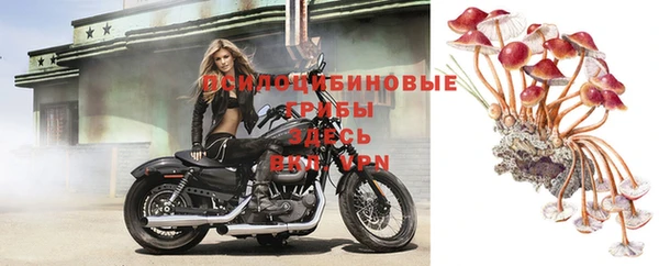 экстази Зерноград