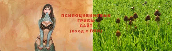экстази Зерноград