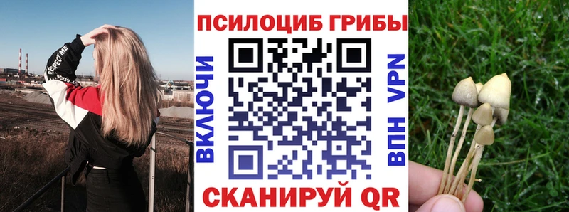сайты даркнета Telegram  Элиста  Псилоцибиновые грибы ЛСД  сколько стоит 